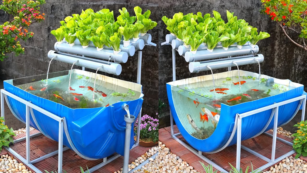 Aquaponics: Plants Fish Cultivation Using Technological Symbiosis