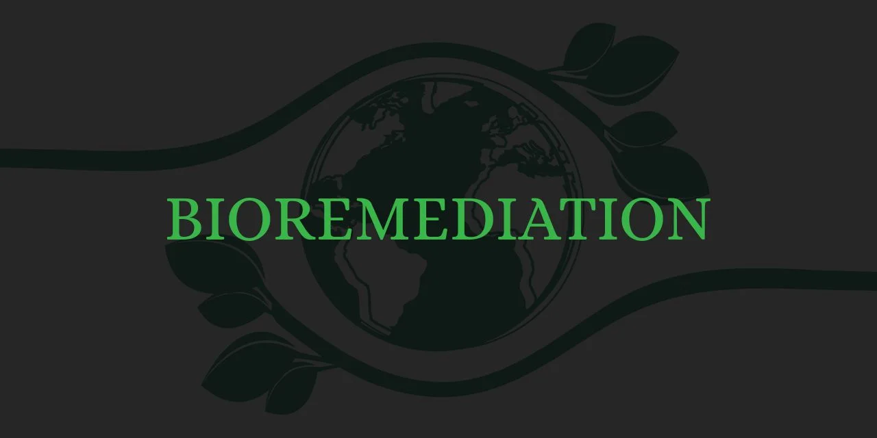 Bioremediation - All questions about bioremediation answered