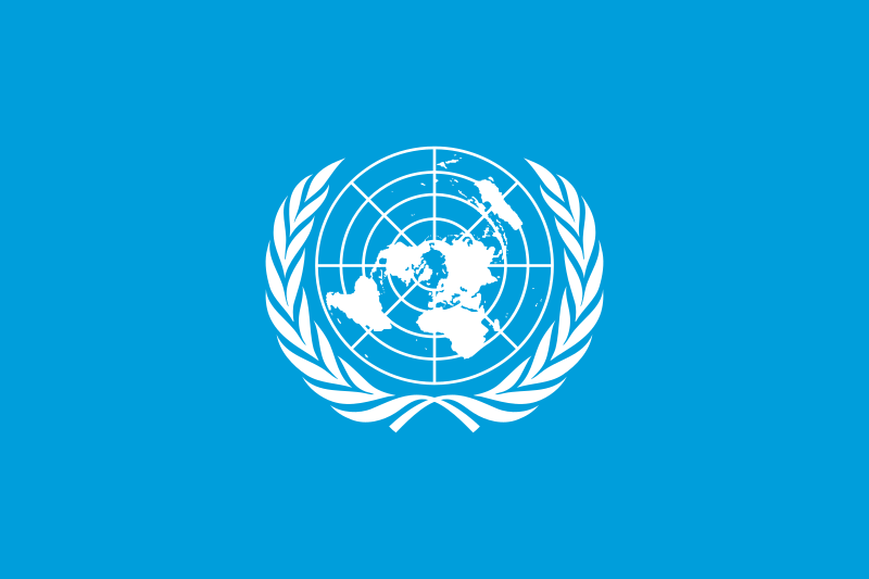 The United Nations: A Vital Global Organization