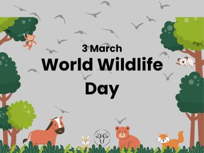 Celebrating World Wildlife Day: Embracing Biodiversity for a Sustainable Future