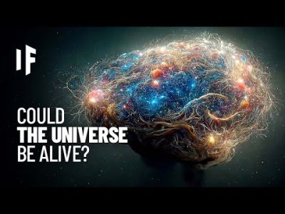 What If the Universe Is Conscious? | What If Show
