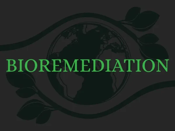 Bioremediation - All questions about bioremediation answered